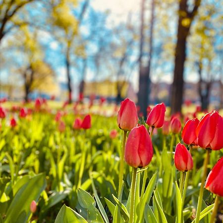 Schoene Aussichten Mitten In Berlin - Il Sole Kültér fotó