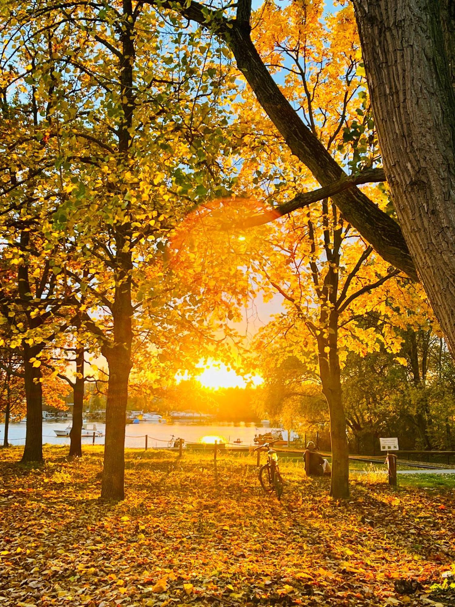 Schoene Aussichten Mitten In Berlin - Il Sole Kültér fotó